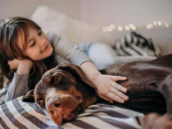 Do Dobermans Make Good Pets? What You Need to Know (Vet-Reviewed Info)