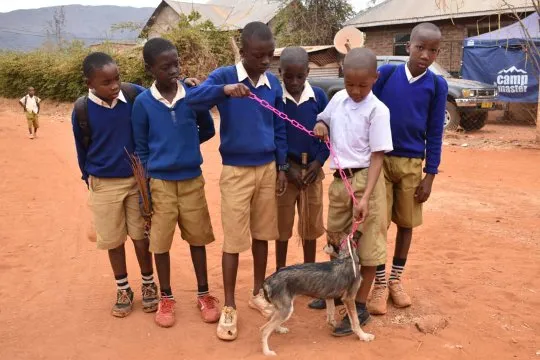 Ngimba, Malaika and friends
