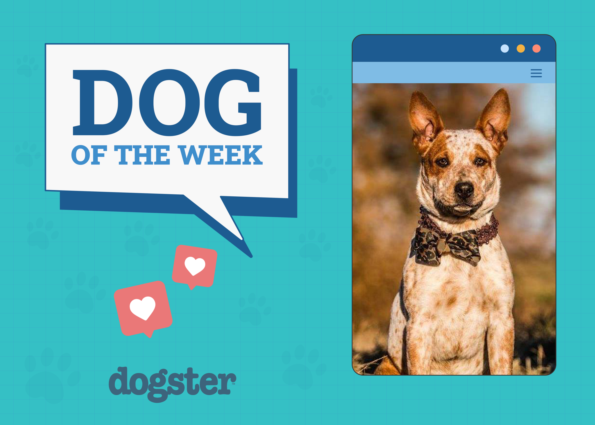 Dogster Photo Contest: Dogs of the Week Winners (Jan 16, 2025)