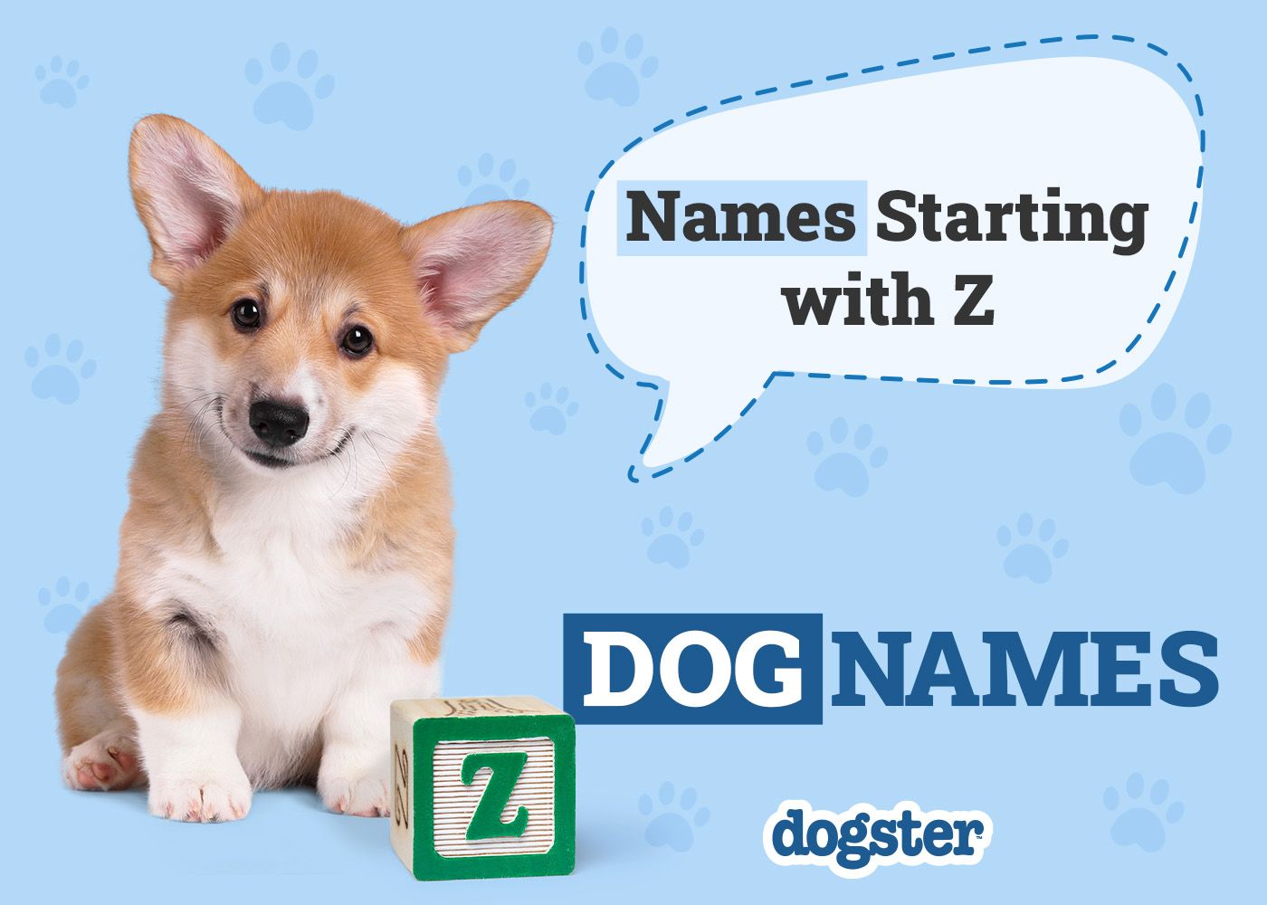 Dogster_Names Starting with Z