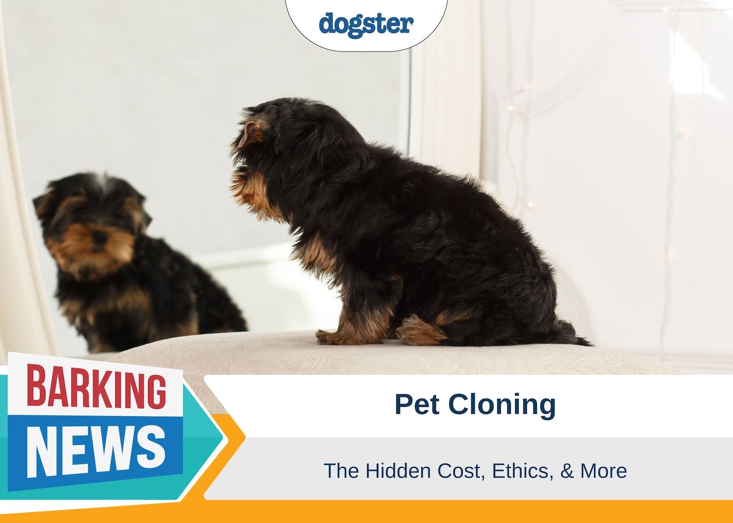 Barking News Dog Cloning Hidden Cost