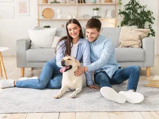 How to Remove Dog Odor From Your House: 15 Vet-Approved Tips