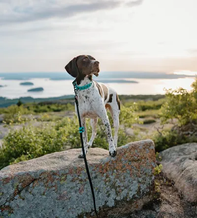 Acadia National Park