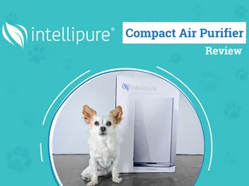 Intellipure Compact Air Purifier Review 2026: Next-Gen Filtration in a Compact Shell