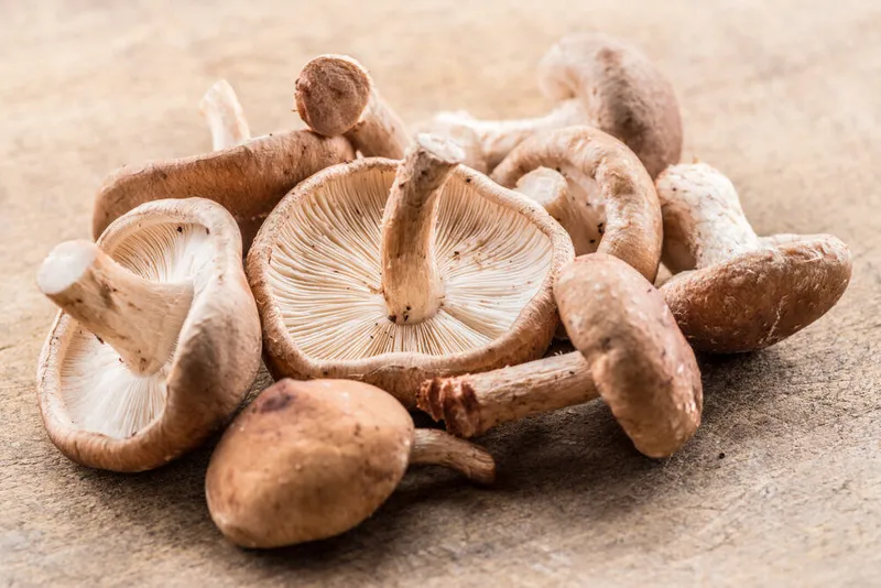 Shiitake mushrooms on the table