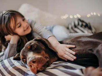 What Were Dobermans Bred For? Info, History & Origins