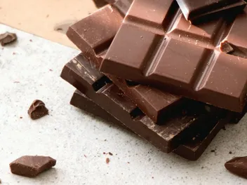 What Happens to Dogs After Eating Chocolate? Long-Term Health Risks Explained