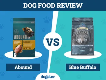 Abound vs Blue Buffalo Dog Food: Our 2026 In-Depth Comparison