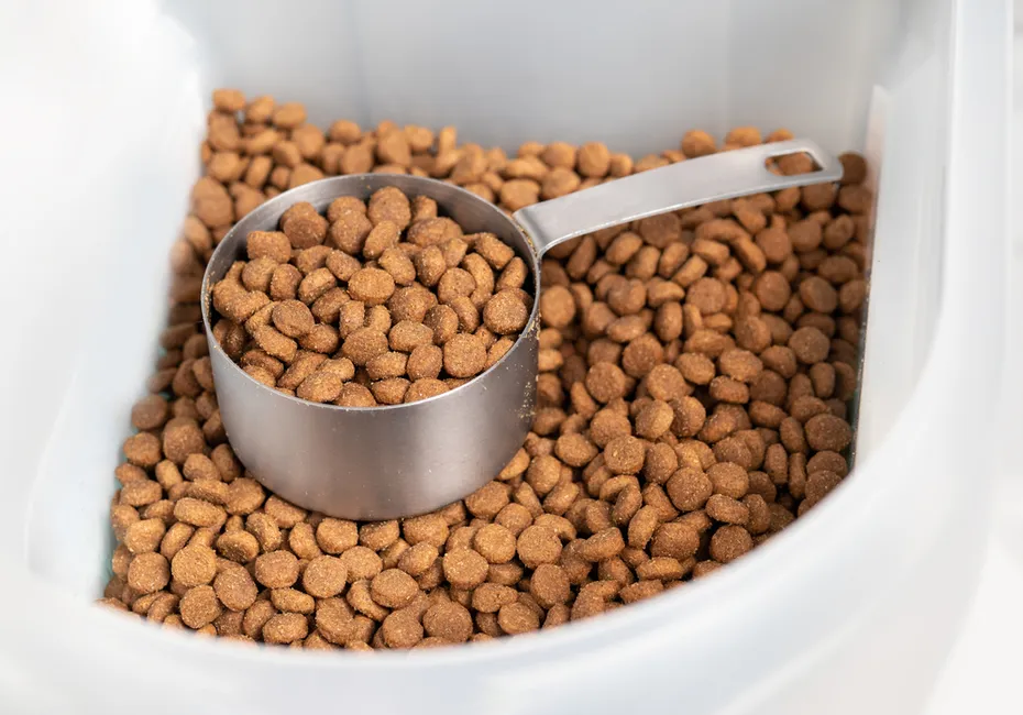 dry dog or pet food in a plastic storage container