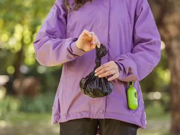 There's Black Specks in My Dog's Poop, Should I Worry? Vet-Approved Health Facts