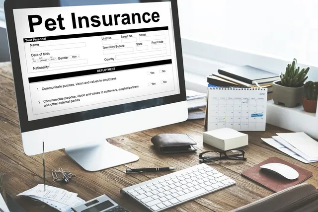 Does Pet Insurance Cover Cruciate Surgery? Standard Policies & FAQ