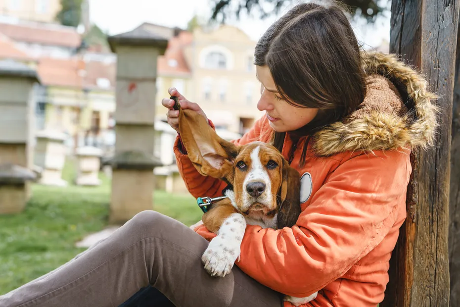 woman-holding-her-basset-hound-dog-in-the-park