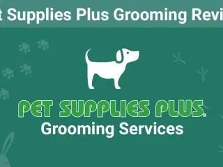 Pet Supplies Plus Grooming Review 2026: Services, Prices, User Ratings and FAQ