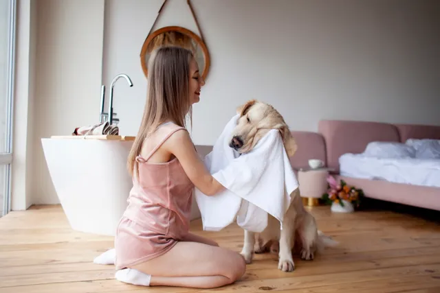 Do Golden Retrievers Need Grooming & How Often? Vet-Approved Tips