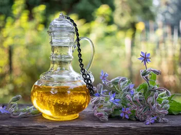 Black Currant, Evening Primrose & Borage Oils for Dogs (Vet Answer)