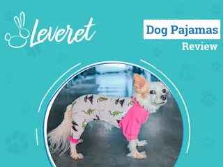 Leveret Dog Pink Dinosaur Pajamas Review 2026: A Prehistoric Bedtime Fashion Icon