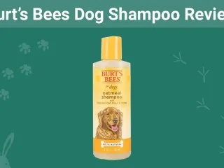 Burt’s Bees Dog Shampoo Review 2026: Our Expert's Opinion