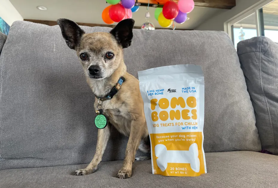 Sunday Scaries FOMO Bones - papyrus sitting next to the product on couch