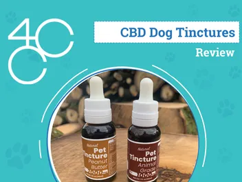 4 Corners Cannabis Pet CBD Tincture Review 2026: An Expert's Breakdown