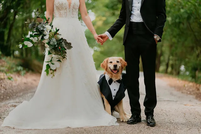 11 Dog-Friendly Wedding Venues in the US (2026 Guide)