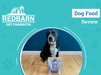 Redbarn Dog Food Review 2026: My Food-Sensitive Dog Tries the Most Popular Recipes