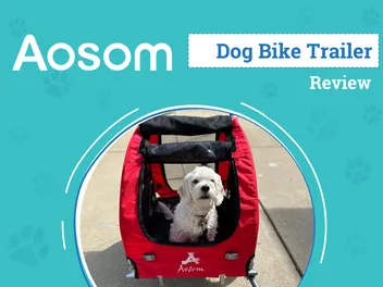 Aosom Elite II Dog Bicycle Trailer Review 2026: An Expert's Breakdown