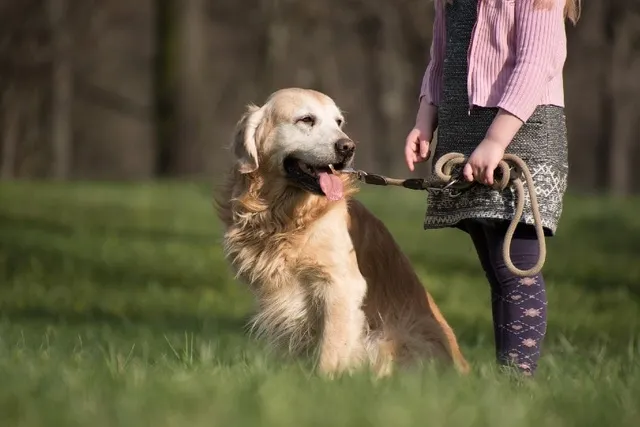 10 Reasons Why Pets Are Great for Kids: Vet-Reviewed Facts & FAQ
