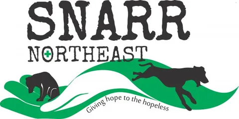 Special Needs Animal Rescue and Rehabilitation