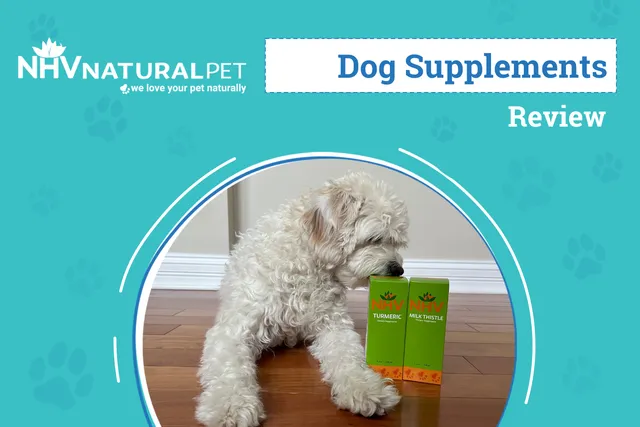 NHV Natural Pet Supplements Review 2026: An Expert's Breakdown
