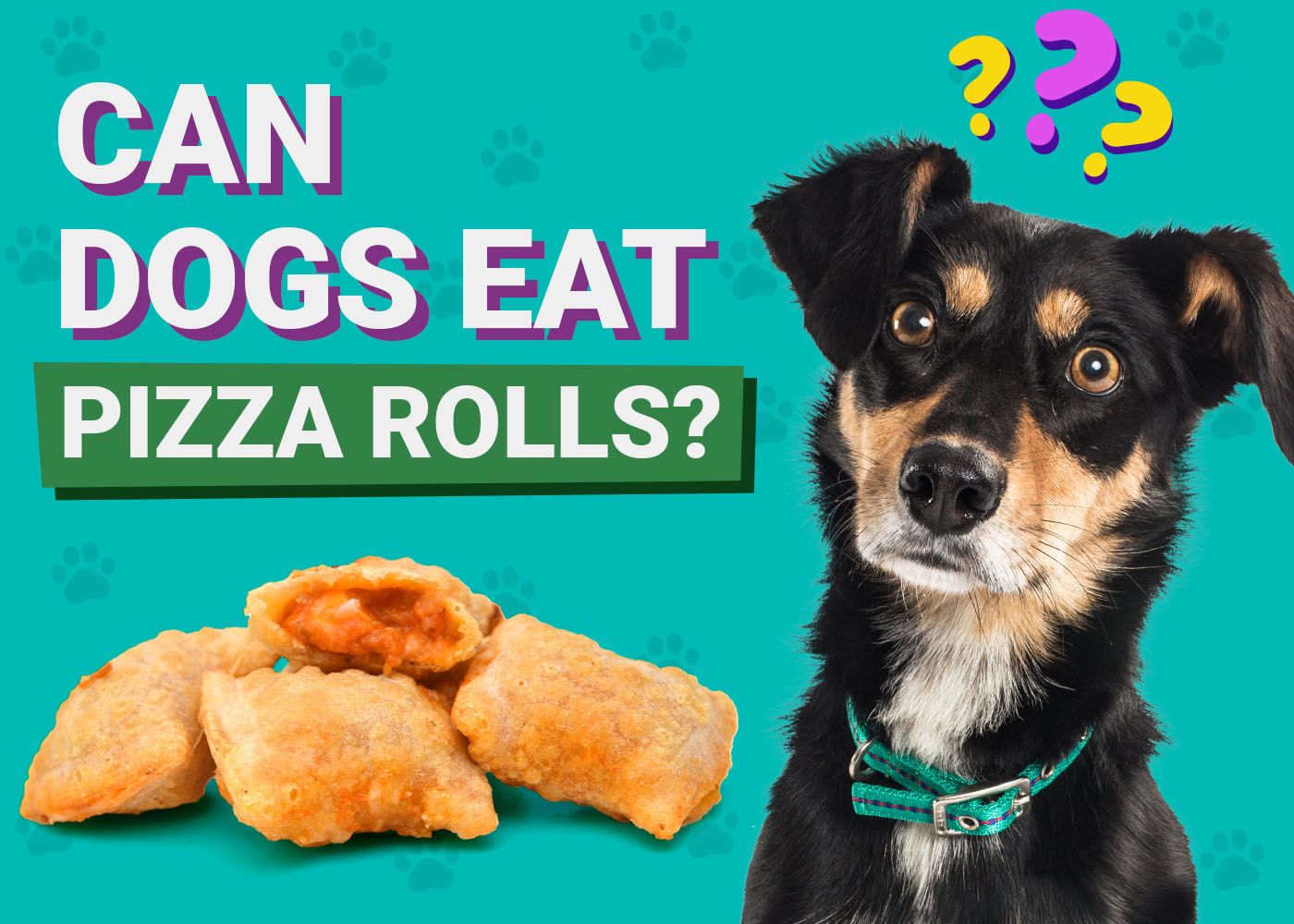 Dogster-Can-Dogs-Eat-Pizza Rolls