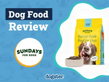 Sundays for Dogs Food Review 2026: Our Expert’s Opinion