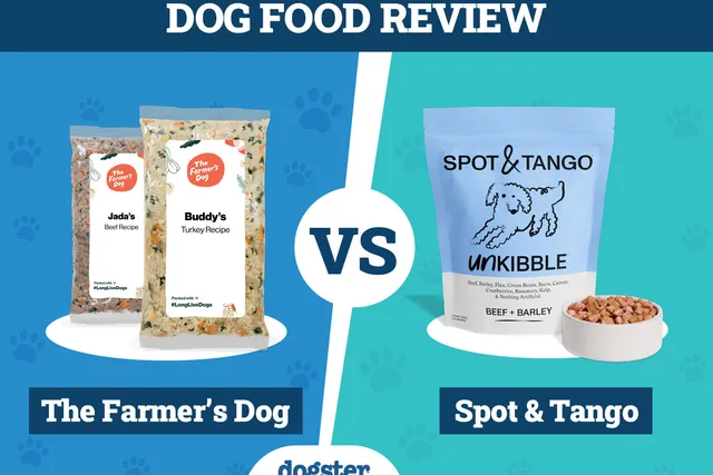 The Farmer’s Dog vs Spot & Tango: Our 2026 In-Depth Comparison