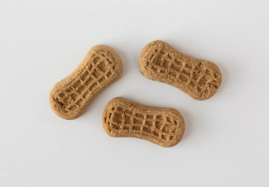 Peanut Butter Bites