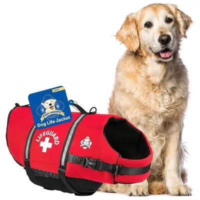 Paws Aboard Dog Life Jacket