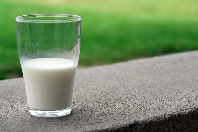 Benefits of Goat’s Milk for Dogs: 5 Incredible Health Perks