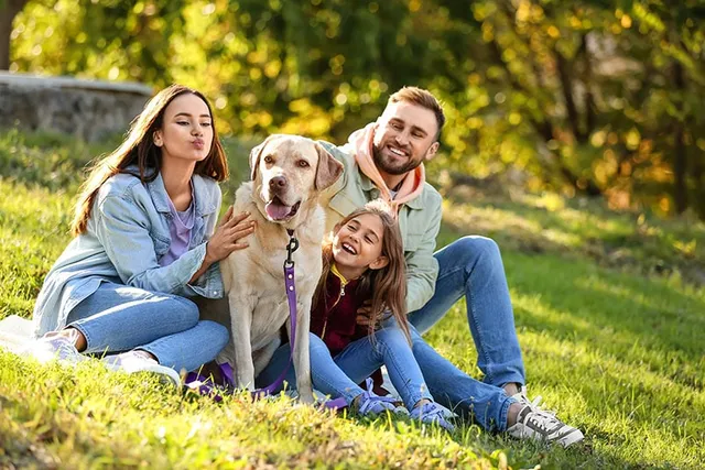 Are Dogs Allowed in Disney World? (Updated in 2026)