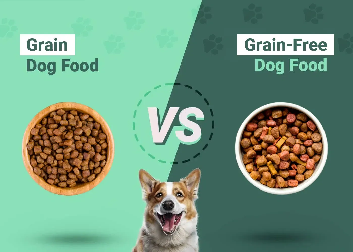 Grain vs Grain-Free Dog Food - Featured Image