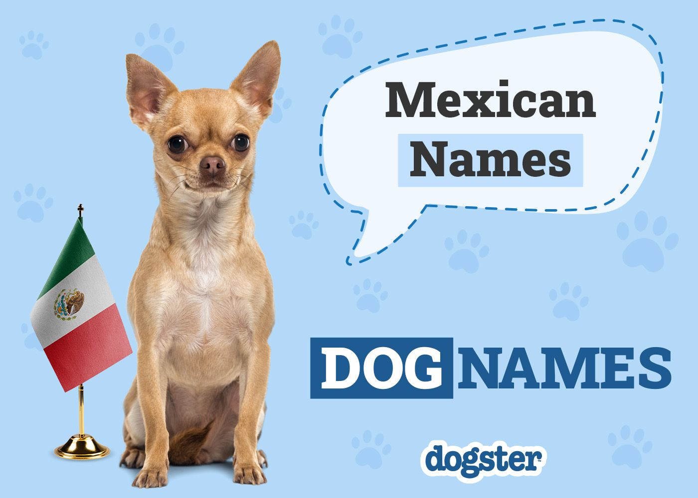 250+ Mexican Dog Names: Meaningful Ideas for Your Perrito