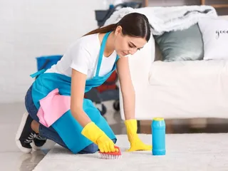 9 Dog-Safe Cleaning Products You Must Have at Home (Vet-Approved)