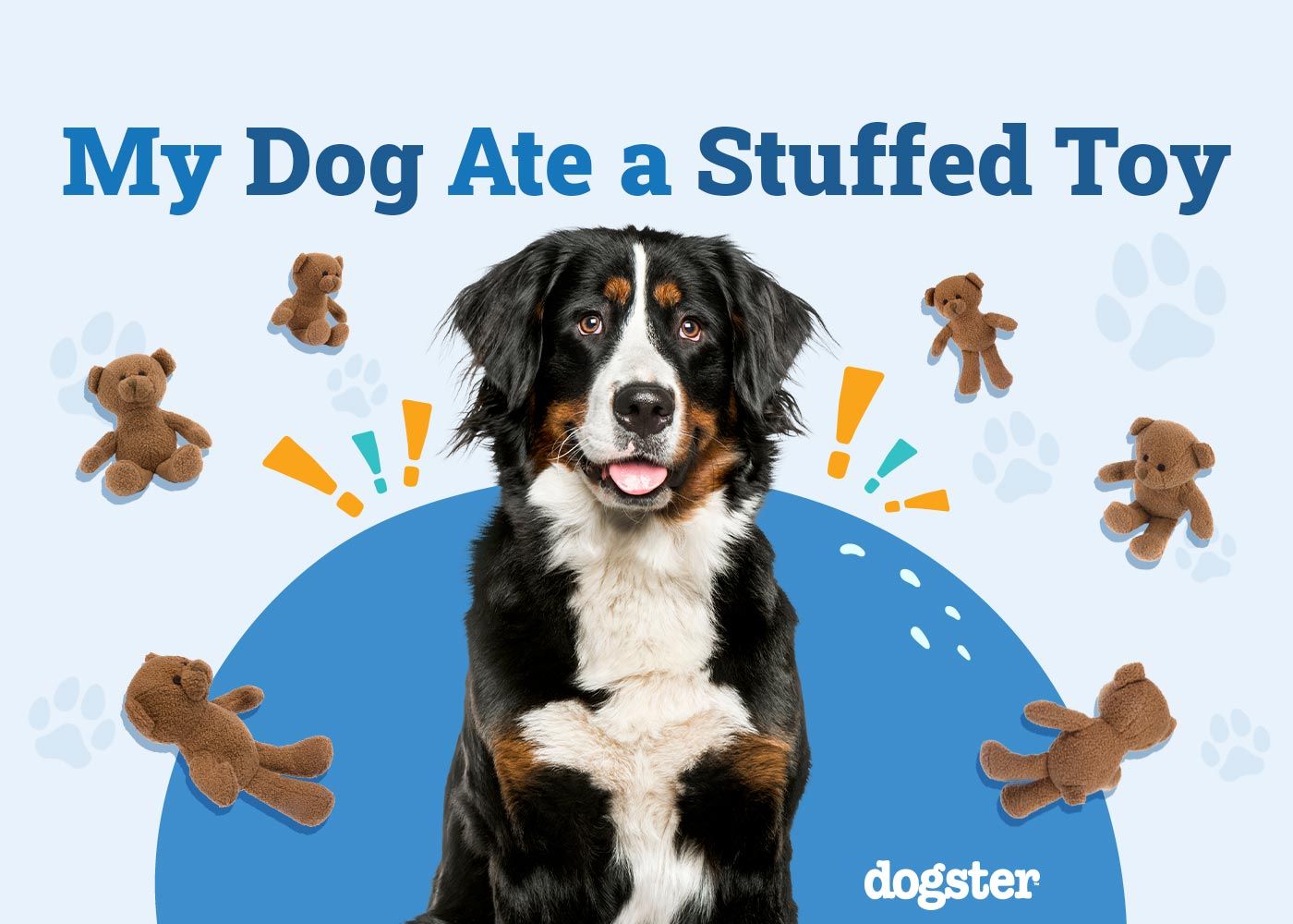 My Dog Ate a Stuffed Toy