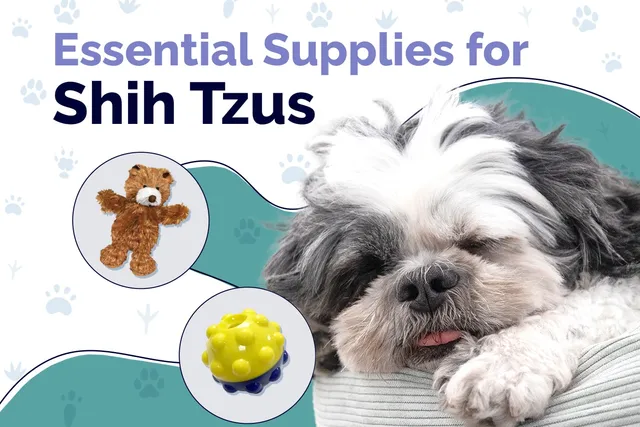 12 Essential Shih Tzu Supplies To Get You Started: 2026 Vet-Reviewed Guide