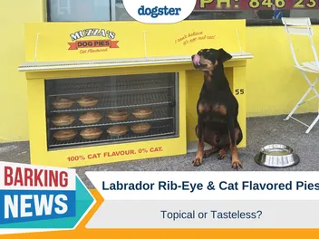 Labrador Rib-Eye and Cat Flavored Pies – Topical or Tasteless?