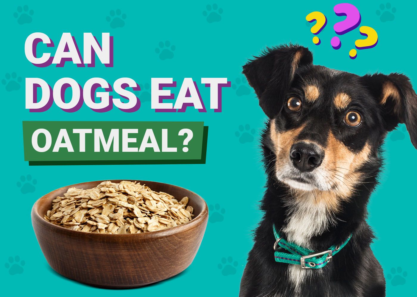 Can Dogs Eat Oatmeal