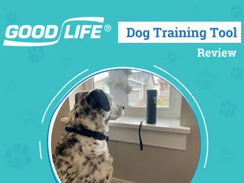 Ultimate Bark Control OnGuard Review 2026: An Expert's Breakdown