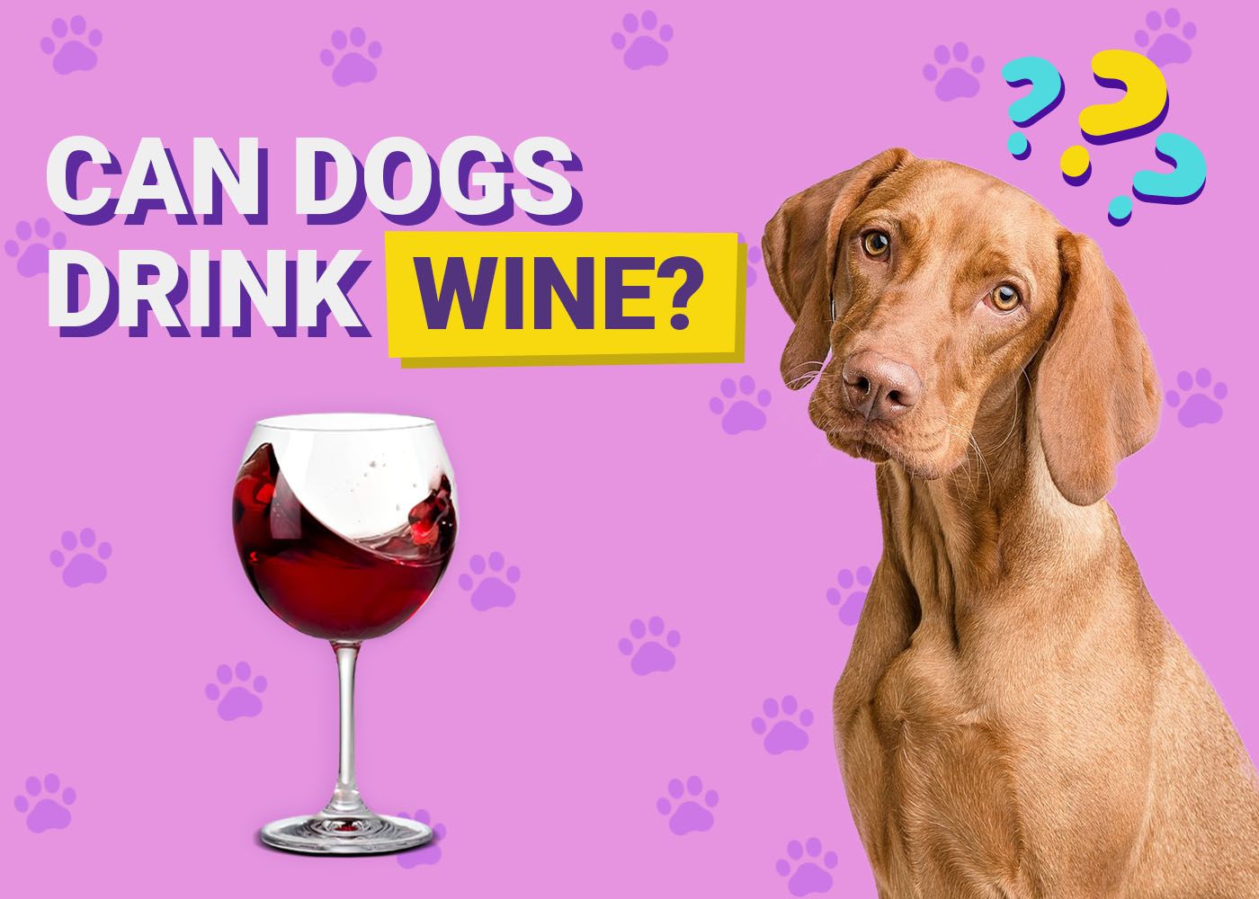 Can Dogs Drink Wine