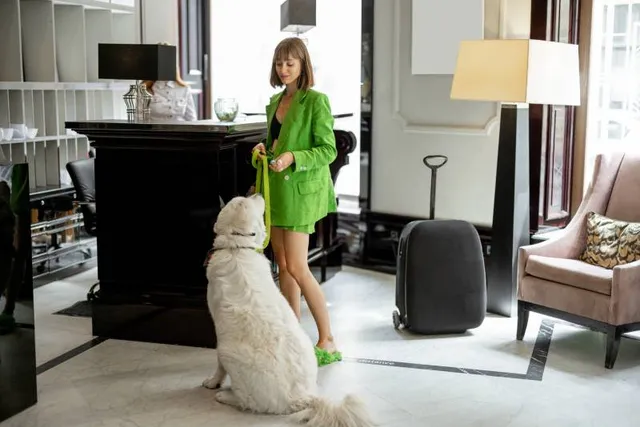 12 Dog-Friendly Hotel Chains in the U.S. (2026 Guide)