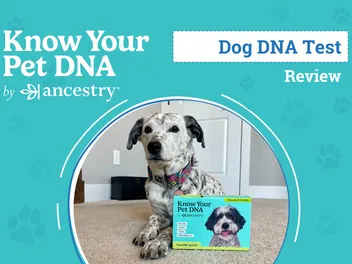 Know Your Pet DNA by Ancestry Review 2026: Our Experience Building Ragz' Family Tree