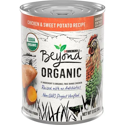 Purina Beyond Organic Chicken &amp; Sweet Potato Recipe Wet Dog Food New