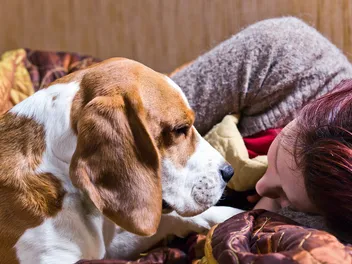 5 Ways to Stop Your Dog From Waking You Up Early (Vet-Reviewed)