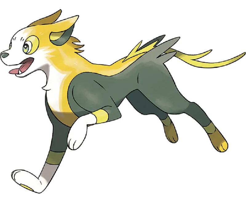 Boltund